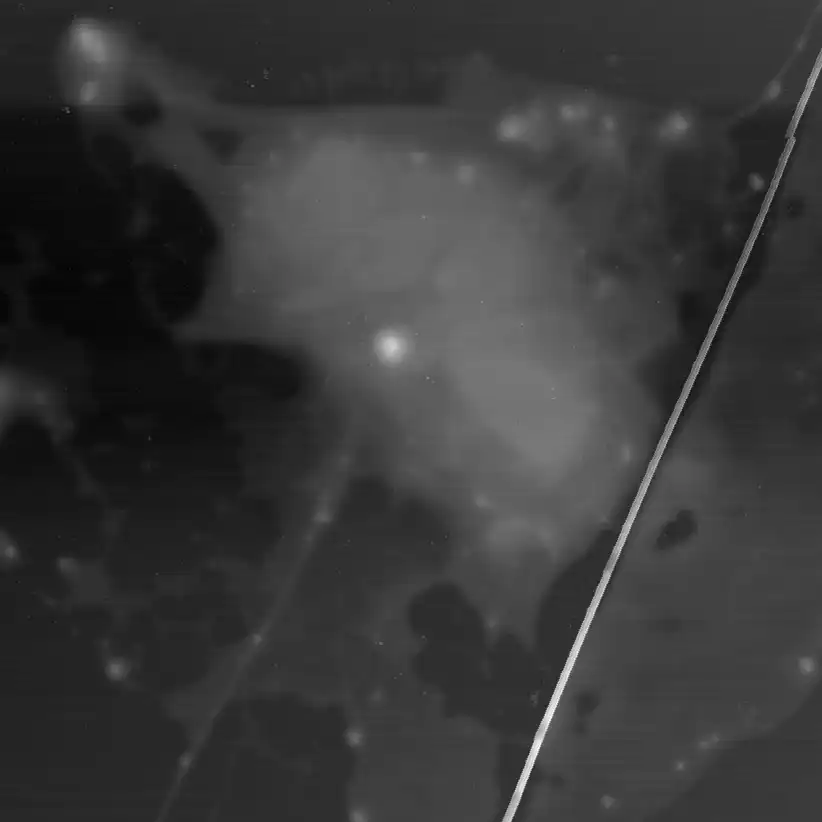Atomic force microscope image of quantum device